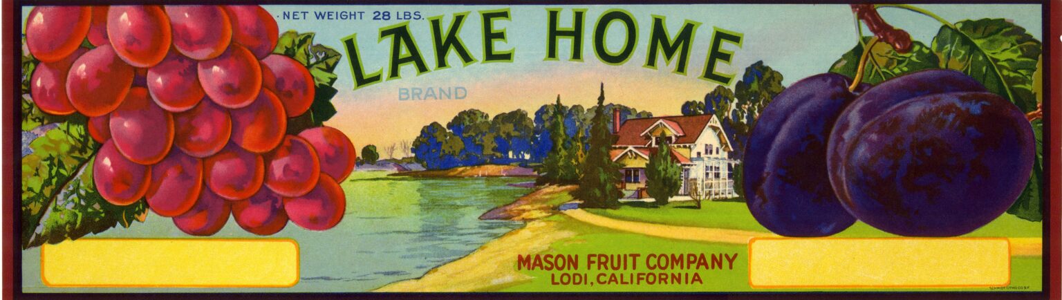 Lake Home Lake Home